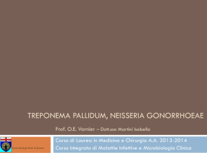 treponema pallidum, neisseria gonorrhoeae