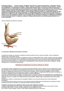 Chirurgia Urologica >> Tumore vescicale , Neoplasia vescicale Turv