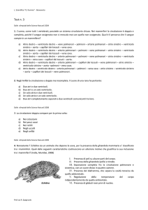 Test n3 - Liceo Rummo