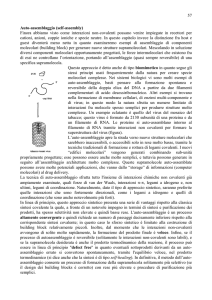 57 Auto-assemblaggio (self-assembly) Finora abbiamo visto come