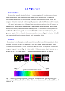 05_La visione