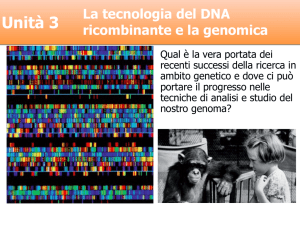 DNA Ricombinante - Simone Damiano Ph.D.