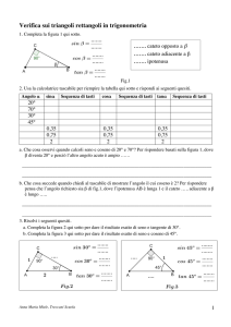 Verifica sui triangoli rettangoli in trigonometria
