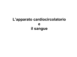 L`apparato cardiocircolatorio e il sangue