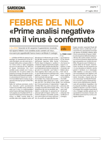 Febbre del Nilo. "Prime analisi negative ma il virus è confermato"