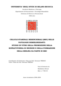 universita` degli studi di milano