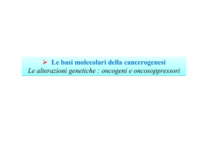 Le alterazioni genetiche : oncogeni e oncosoppressori