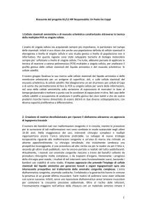 Riassunto del progetto 01/12 IRP Responsabile: Dr Paolo De Coppi