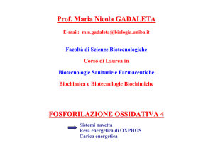 Prof. Maria Nicola GADALETA FOSFORILAZIONE OSSIDATIVA 4
