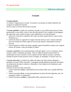 I tessuti