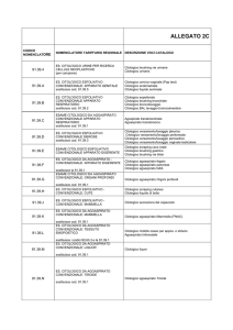 allegato b - Azienda USL 4 di Prato