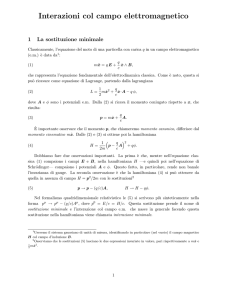 Interazioni col campo elettromagnetico