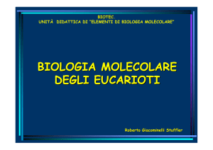 biologia molecolare degli eucarioti - Progetto e