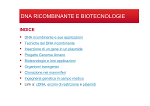 dna ricombinante e biotecnologie