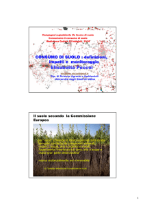 CONSUMO DI SUOLO - Legambiente FVG