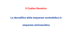 Il Codice Genetico La decodifica della sequenza nucleotidica in