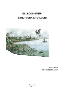 gli ecosistemi struttura e funzioni