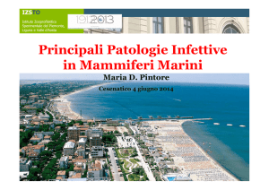 Principali Patologie Infettive in Mammiferi Marini