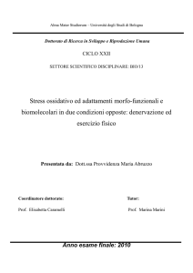 Stress ossidativo ed adattamenti morfo-funzionali e