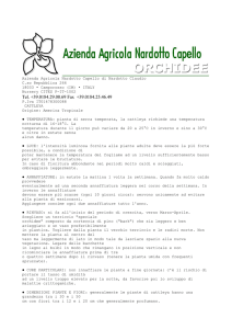 Azienda Agricola Nardotto Capello di Nardotto Claudio