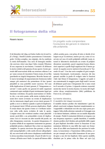 versione Pdf - Intersezioni