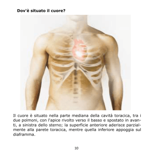 10 Dov`è situato il cuore? Il cuore è situato nella parte