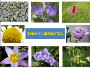 botanica sistematica