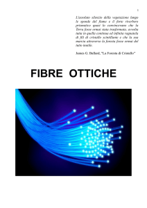 fibre ottiche - Dipartimento di Ingegneria dell`Informazione