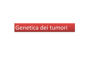 scarica il file pdf: Gli oncogeni