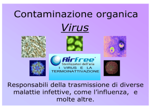 Contaminazione organica