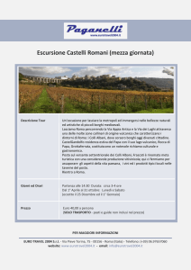 Escursione Castelli Romani (mezza giornata)