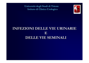 Infezioni delle Vie Urinarie - Università degli studi di Trieste