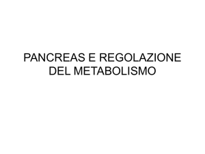 7-PANCREAS E METABOLISMO