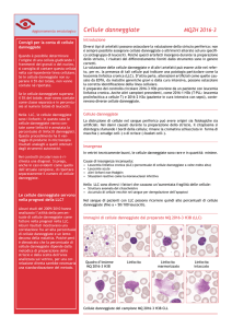 Cellule danneggiate