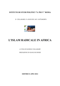 l`islam radicale in africa