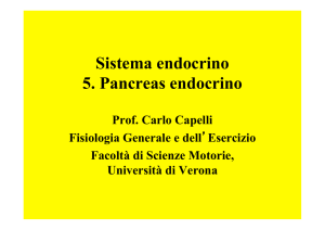 Sistema endocrino 5. Pancreas endocrino