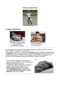 scarica PDF - Istituto "San Giovanni Bosco"