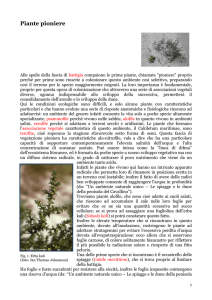 Piante pioniere - Istituto Veneto di Scienze Lettere ed Arti
