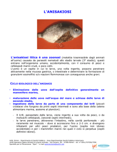 anisakiosi (zoonosi ittici)