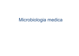 Microbiologia medica