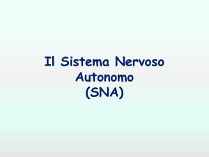 Il Sistema Nervoso Autonomo (SNA)