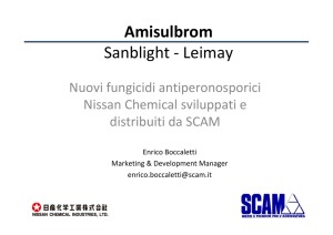 Scam - Amisulbron, nuovo fungicida antiperonosporico