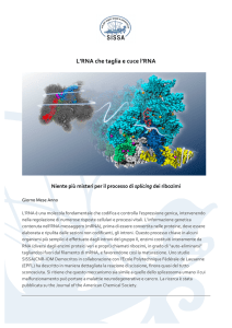 L`RNA che taglia e cuce l`RNA