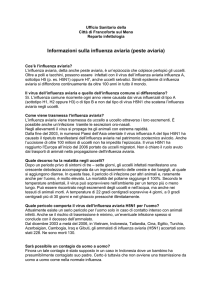 Informazioni sulla influenza aviaria (peste aviaria)