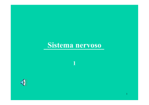 Sistema nervoso-01-A.pptx - dieta