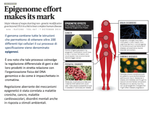 Metilazione del DNA - Progetto e