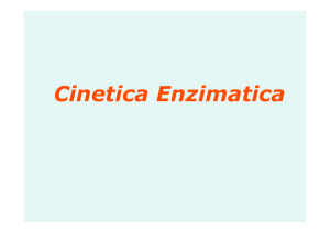 ENZIMI 2-CTF