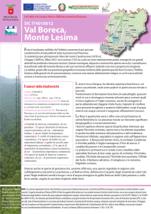 Val Boreca, Monte Lesima