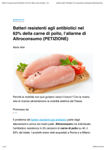 Batteri resistenti agli antibiotici nel 63% della carne di pollo, l