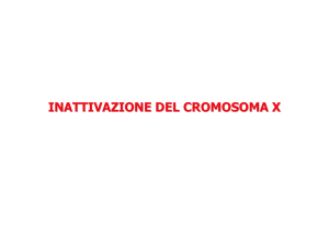 INATTIVAZIONE DEL CROMOSOMA X